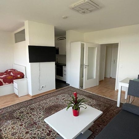 1,5 Zimmerwohnung In هايدلبرغ المظهر الخارجي الصورة