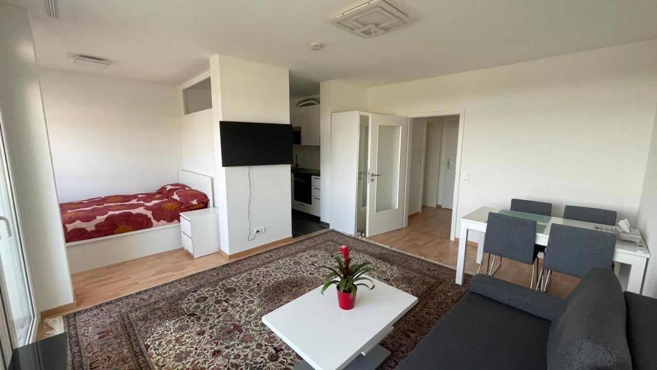 1,5 Zimmerwohnung In هايدلبرغ المظهر الخارجي الصورة